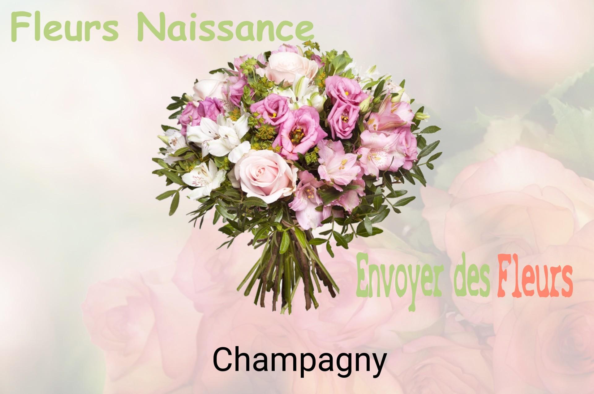 Bouquet de fleurs de naissance livré à Champagny