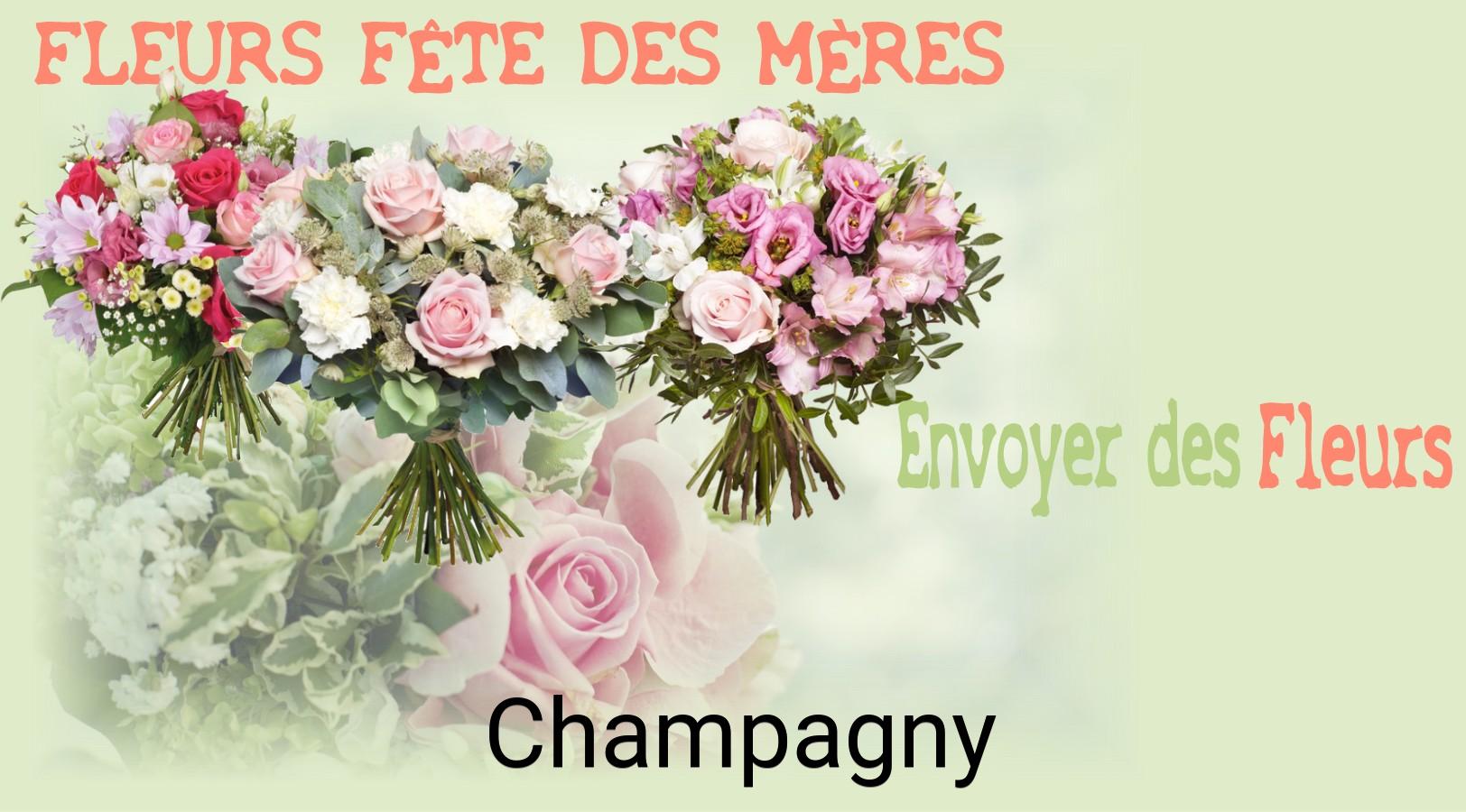 Bouquet de Fête des Mères livré à Champagny